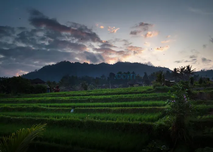 Gasthuis The Kanjeng Signature Sidemen (Bali)
